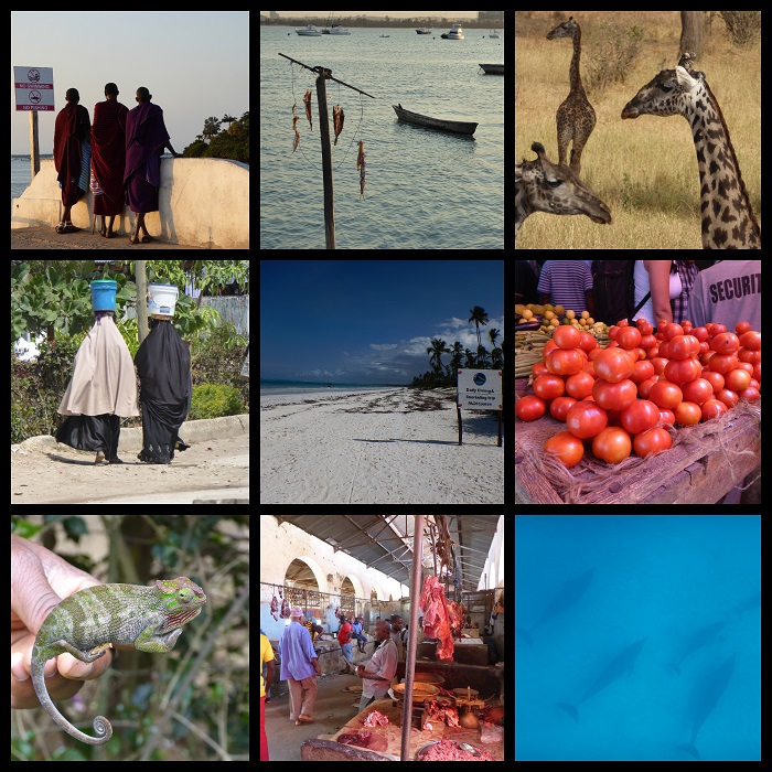 Afrika Blog Reiseblog