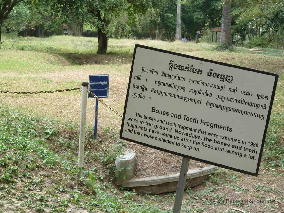 Killing Fields