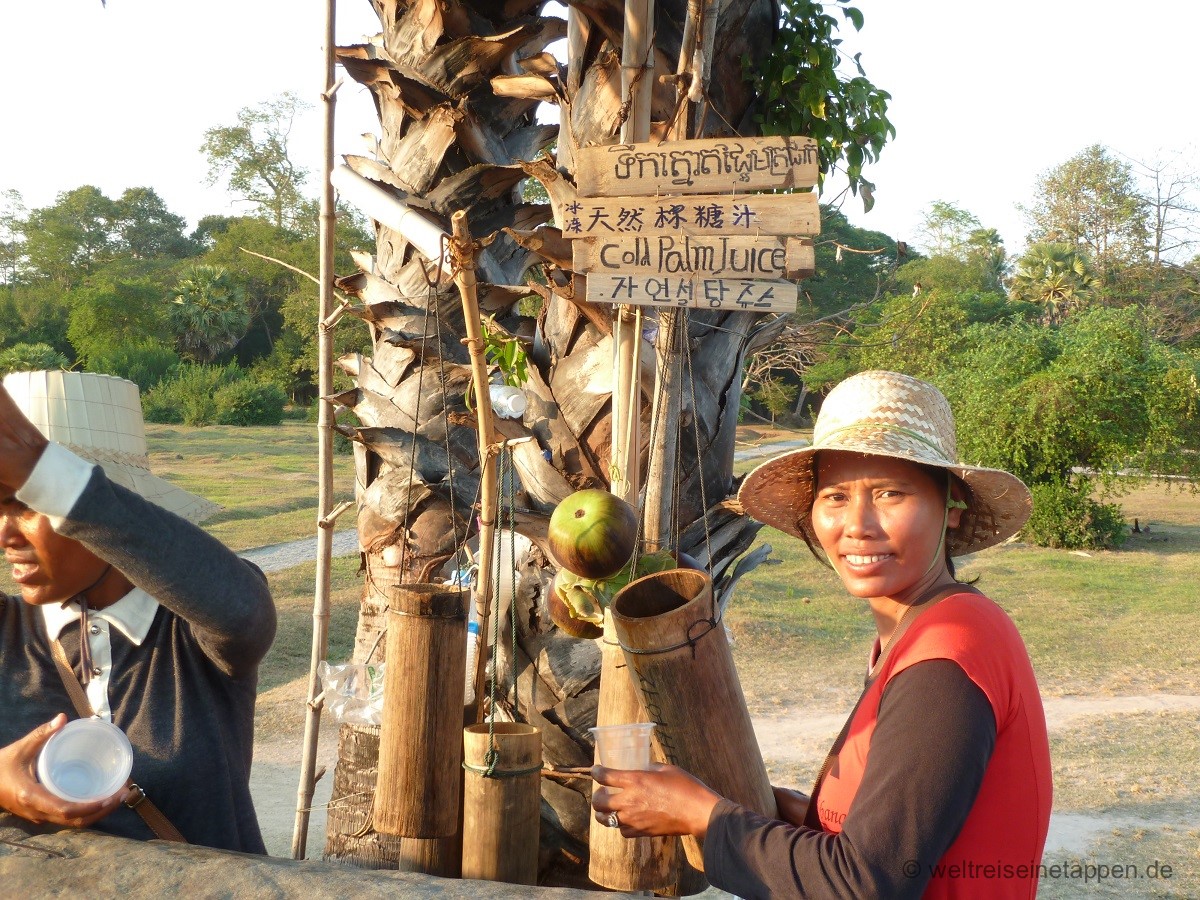 Palmen Angkor Wat