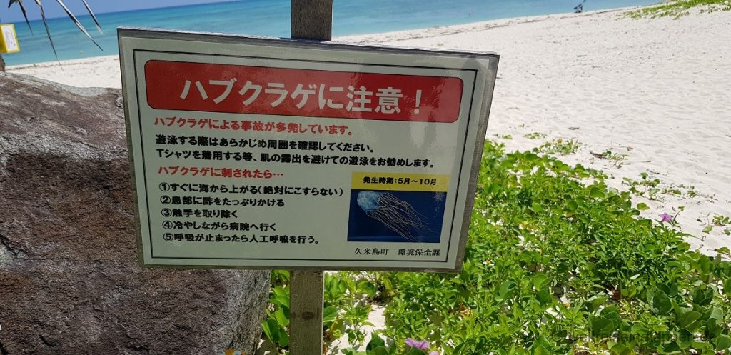 Würfelqualle Japan