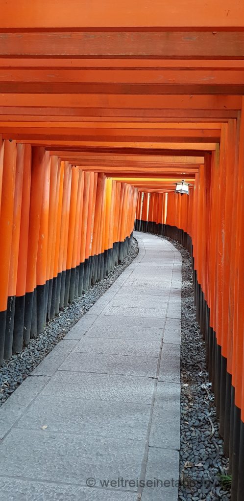 Reiseblog Shinto Religion