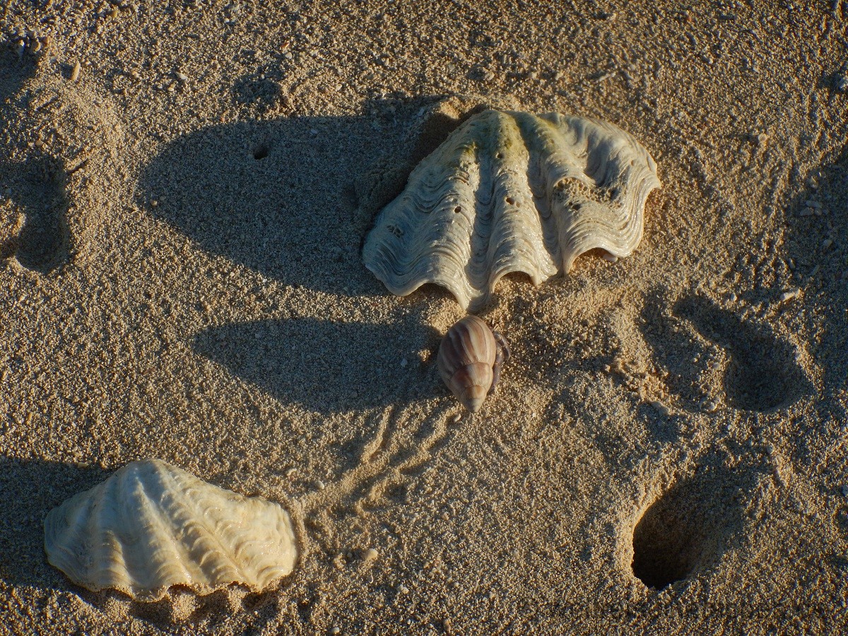 DSCN3947