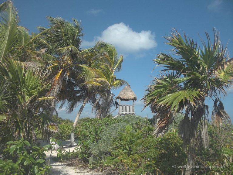 Strandweg Mexiko Yucatan
