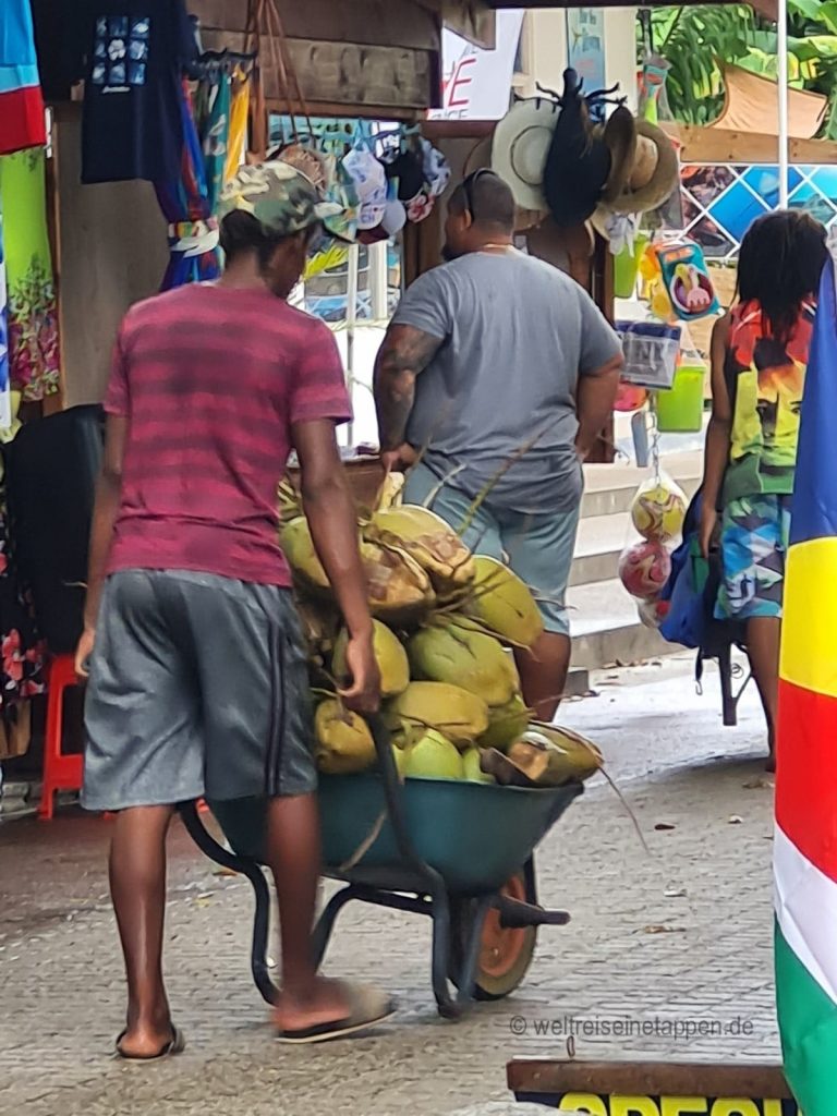 Reisebericht Seychellen Beau Vallon Kokosnussverkäufer