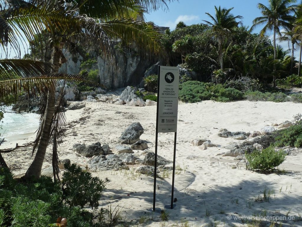 Strand Naturschutz Tulum Mexiko