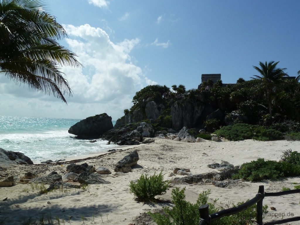 Eiablage Meeresschildkröten Tulum Mexico