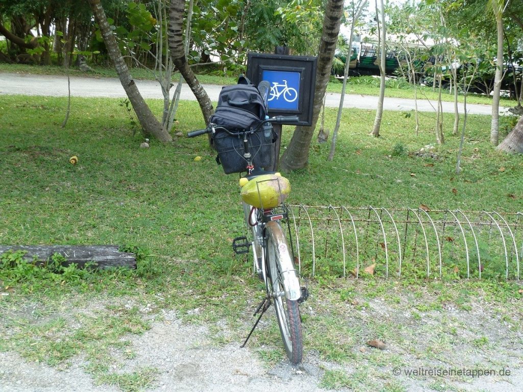 Kokosnuss Reiseproviant Fahrradtour Cozumel Mexiko