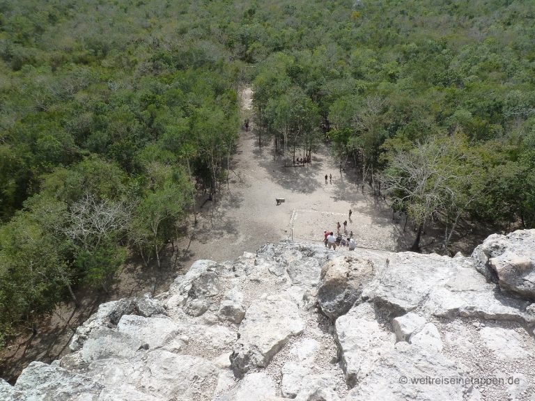 Blick in den Dschungel Cobá Mexiko